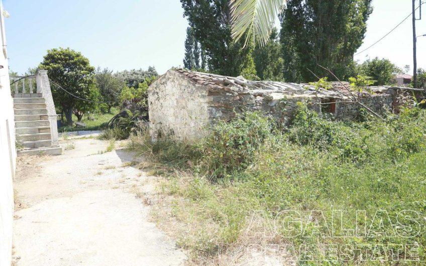 Agios Isidoros No12