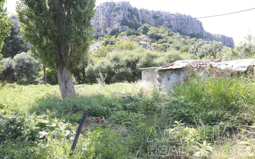 Agios Isidoros No12