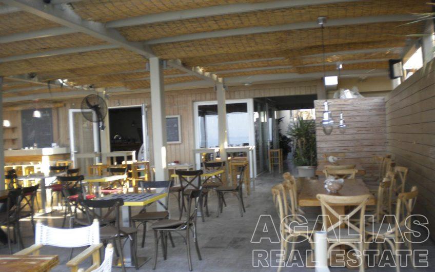 Agios Isidoros No10
