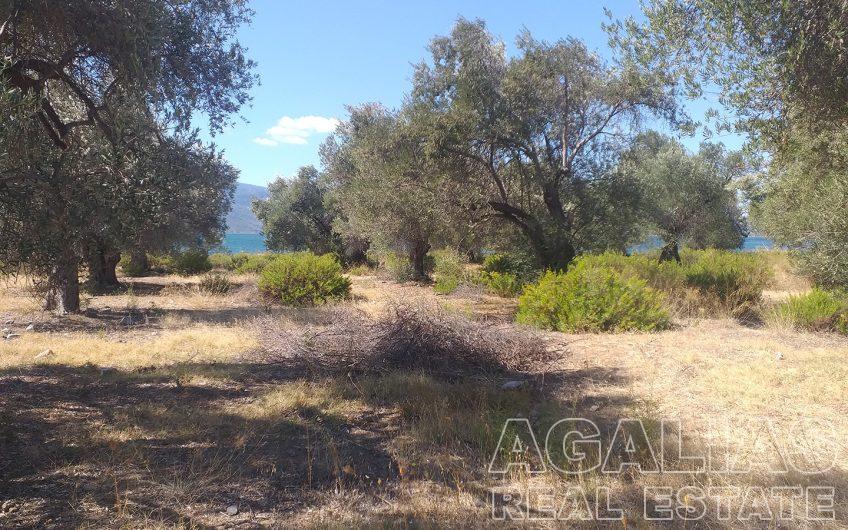 Plot 3rd km Mytilene – Kalloni road