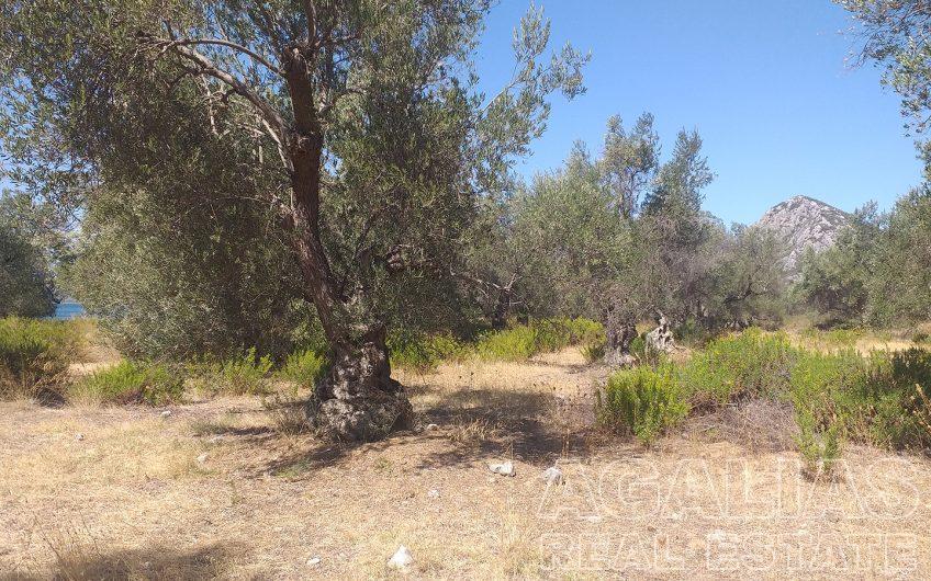 Plot 3rd km Mytilene – Kalloni road