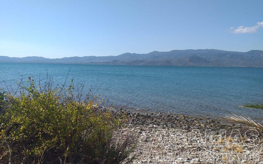 Plot 3rd km Mytilene – Kalloni road