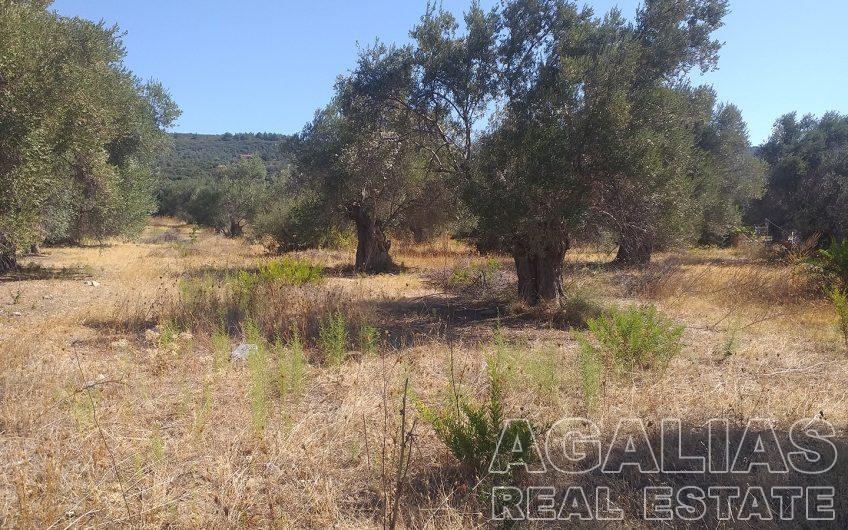 Plot 3rd km Mytilene – Kalloni road